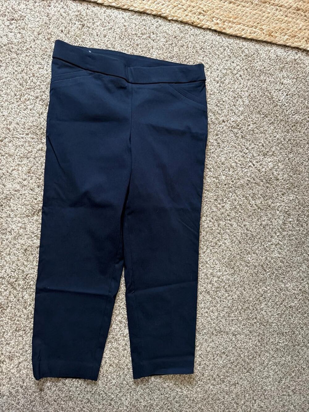 3 for $9 Briggs Navy Polo crop pants 10 short 3376